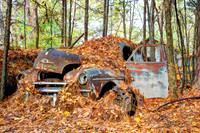 leaves truck