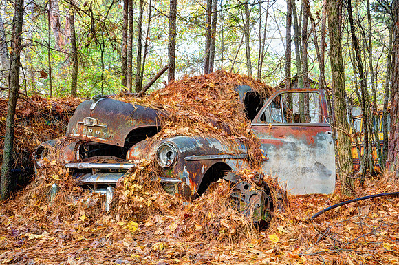 leaves truck
